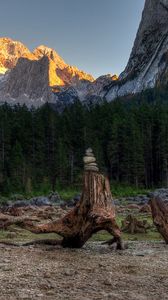 Preview wallpaper forest, mountains, driftwood, rocks, landscape