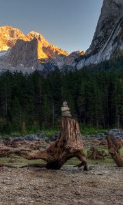 Preview wallpaper forest, mountains, driftwood, rocks, landscape