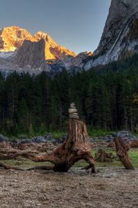 Preview wallpaper forest, mountains, driftwood, rocks, landscape