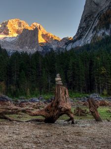 Preview wallpaper forest, mountains, driftwood, rocks, landscape