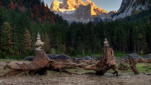 Preview wallpaper forest, mountains, driftwood, rocks, landscape