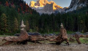 Preview wallpaper forest, mountains, driftwood, rocks, landscape