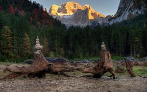 Preview wallpaper forest, mountains, driftwood, rocks, landscape