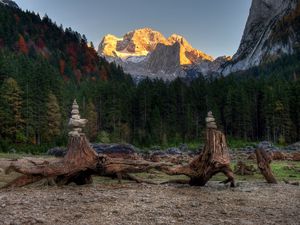 Preview wallpaper forest, mountains, driftwood, rocks, landscape