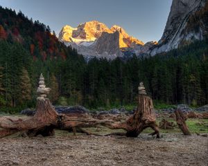 Preview wallpaper forest, mountains, driftwood, rocks, landscape