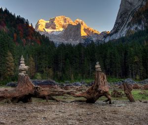 Preview wallpaper forest, mountains, driftwood, rocks, landscape