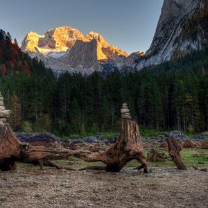 Preview wallpaper forest, mountains, driftwood, rocks, landscape