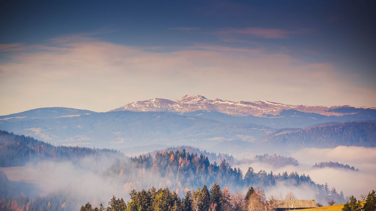 Wallpaper forest, mountains, fog, nature