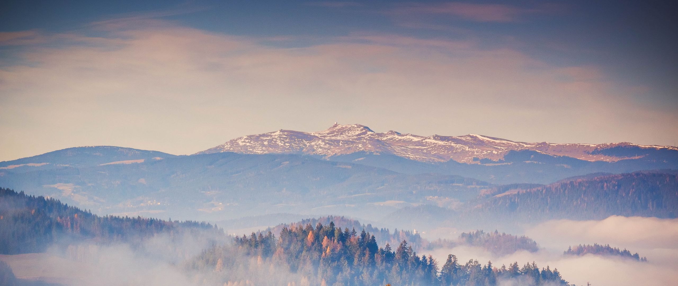 Download wallpaper 2560x1080 forest, mountains, fog, nature dual wide