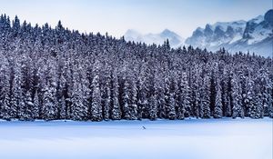 Preview wallpaper forest, mountains, landscape, snow, winter, nature