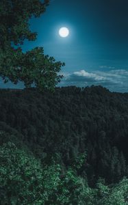 Preview wallpaper forest, mountains, moon, clouds