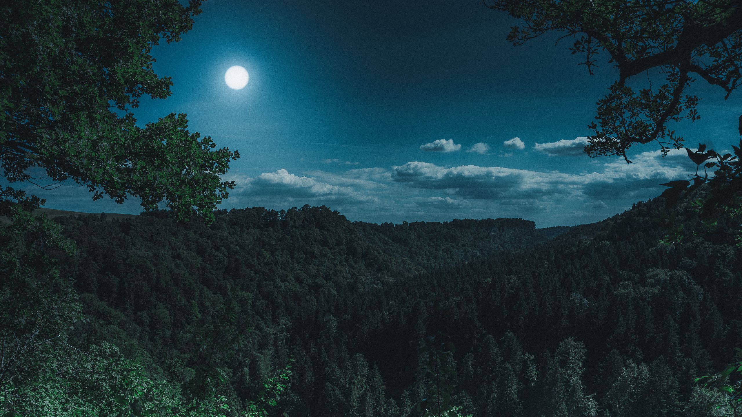 Download wallpaper 2560x1440 forest, mountains, moon, clouds widescreen