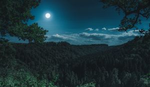 Preview wallpaper forest, mountains, moon, clouds