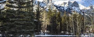 Preview wallpaper forest, mountains, river, winter, snow, nature