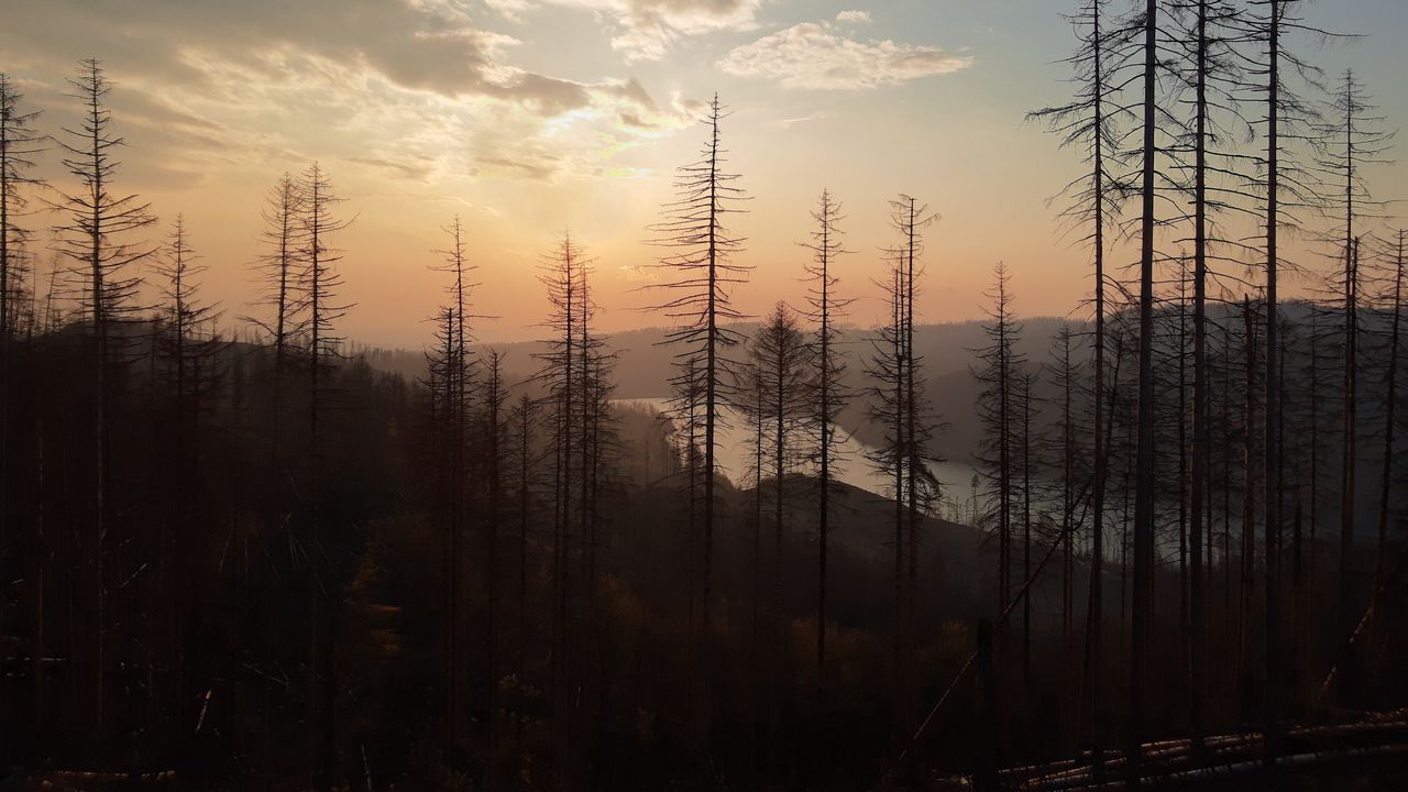 Wallpaper forest, mountains, river, landscape, sunset