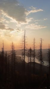 Preview wallpaper forest, mountains, river, landscape, sunset