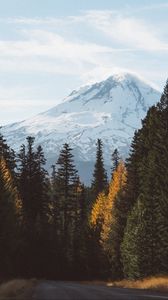 Preview wallpaper forest, mountains, road