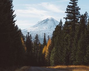 Preview wallpaper forest, mountains, road