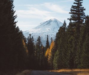 Preview wallpaper forest, mountains, road