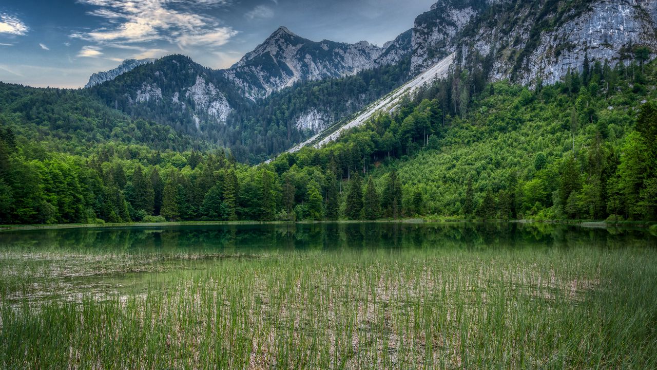 Wallpaper forest, mountains, rocks, pond, grass