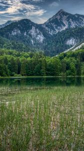 Preview wallpaper forest, mountains, rocks, pond, grass