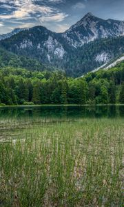 Preview wallpaper forest, mountains, rocks, pond, grass