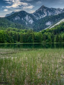 Preview wallpaper forest, mountains, rocks, pond, grass