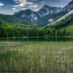 Preview wallpaper forest, mountains, rocks, pond, grass