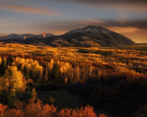 Preview wallpaper forest, mountains, sky, autumn, trees