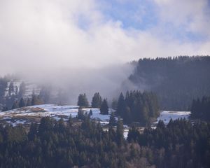 Preview wallpaper forest, mountains, snow, fog