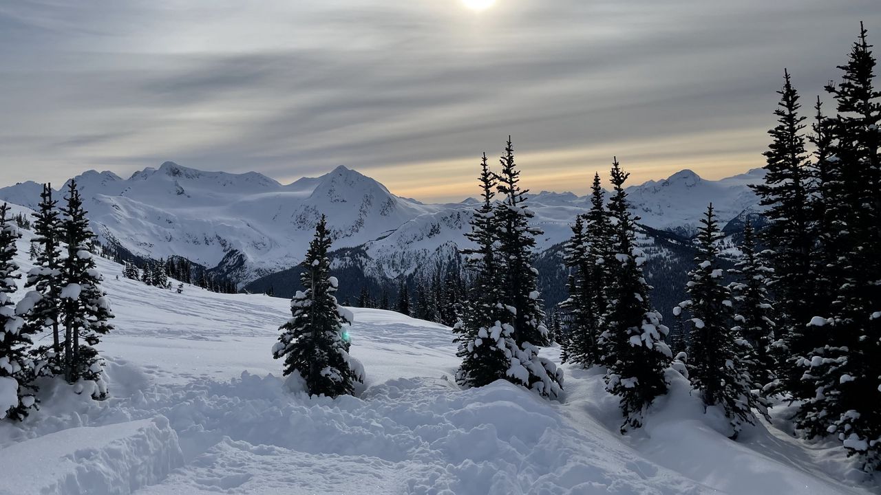 Wallpaper forest, mountains, snow, sun, winter, landscape, nature
