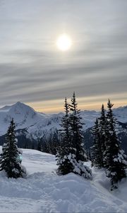 Preview wallpaper forest, mountains, snow, sun, winter, landscape, nature