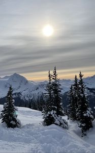 Preview wallpaper forest, mountains, snow, sun, winter, landscape, nature