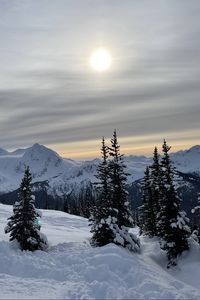 Preview wallpaper forest, mountains, snow, sun, winter, landscape, nature