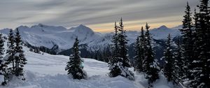 Preview wallpaper forest, mountains, snow, sun, winter, landscape, nature