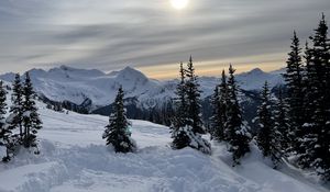 Preview wallpaper forest, mountains, snow, sun, winter, landscape, nature