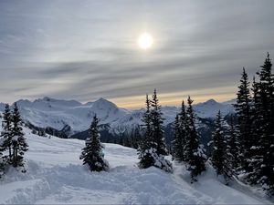 Preview wallpaper forest, mountains, snow, sun, winter, landscape, nature