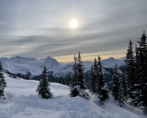 Preview wallpaper forest, mountains, snow, sun, winter, landscape, nature