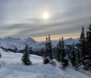 Preview wallpaper forest, mountains, snow, sun, winter, landscape, nature