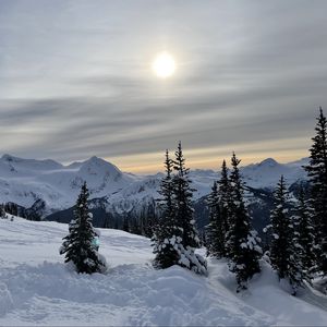 Preview wallpaper forest, mountains, snow, sun, winter, landscape, nature