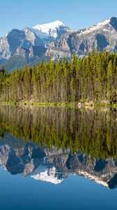 Preview wallpaper forest, mountains, snow, lake, reflection, nature