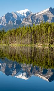 Preview wallpaper forest, mountains, snow, lake, reflection, nature