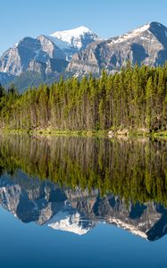 Preview wallpaper forest, mountains, snow, lake, reflection, nature