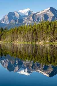 Preview wallpaper forest, mountains, snow, lake, reflection, nature