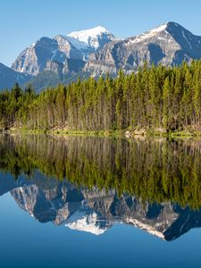 Preview wallpaper forest, mountains, snow, lake, reflection, nature