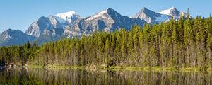 Preview wallpaper forest, mountains, snow, lake, reflection, nature