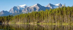 Preview wallpaper forest, mountains, snow, lake, reflection, nature