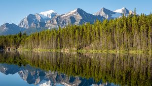 Preview wallpaper forest, mountains, snow, lake, reflection, nature