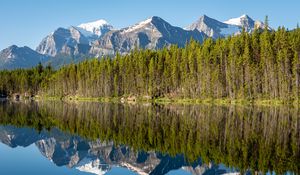 Preview wallpaper forest, mountains, snow, lake, reflection, nature