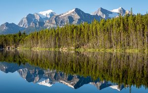 Preview wallpaper forest, mountains, snow, lake, reflection, nature